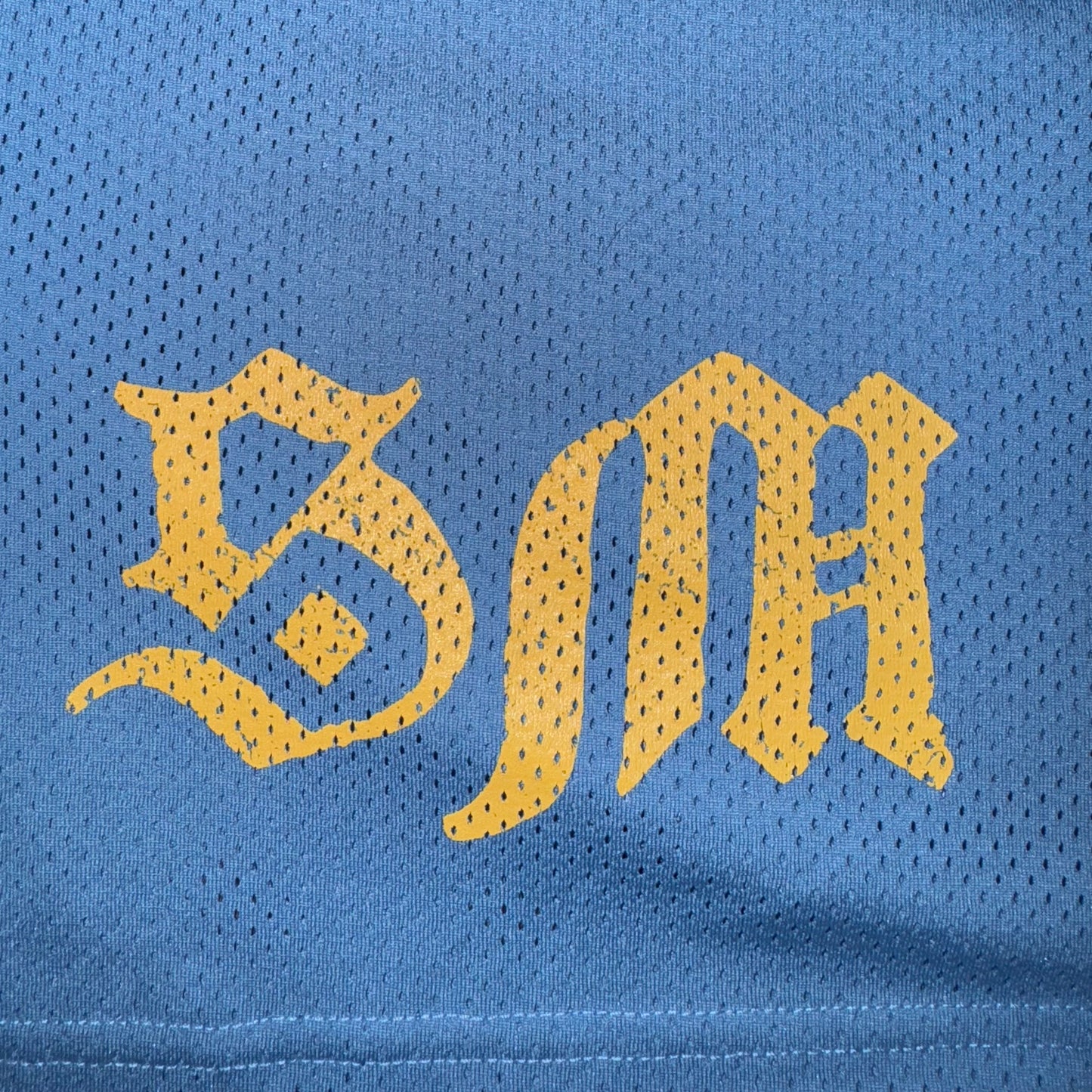 Sacred Sol Mesh Shorts